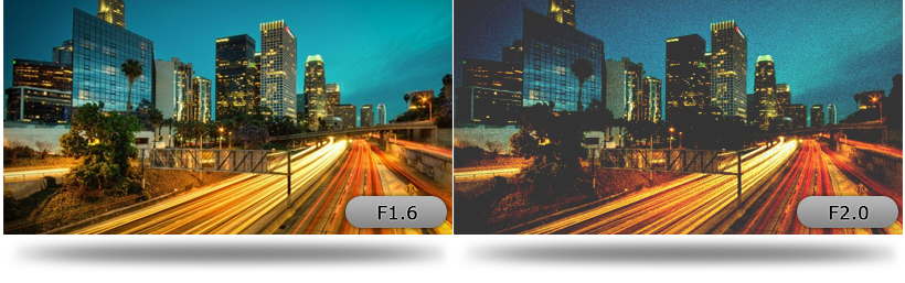 F1.6 clona